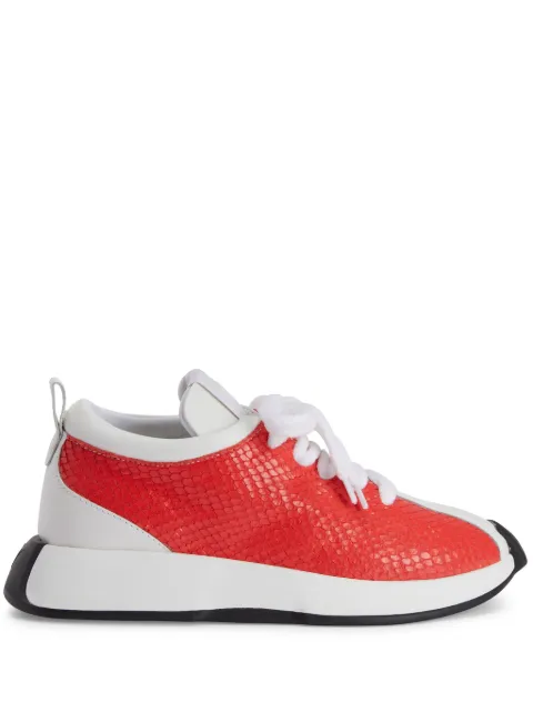 Giuseppe Zanotti tenis Ferox con estampado de pitón