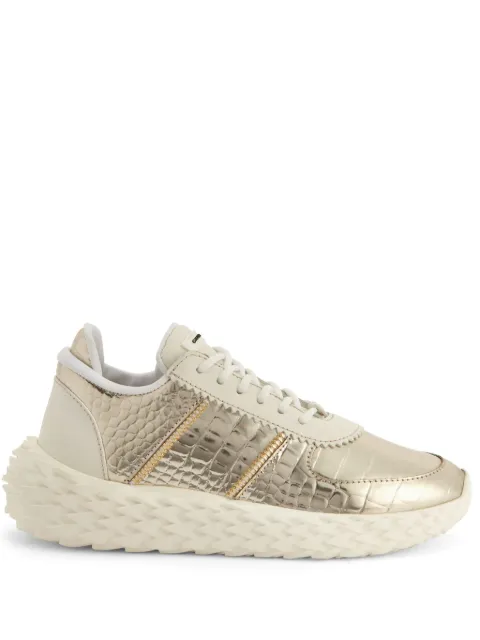 Giuseppe Zanotti tenis Urchin