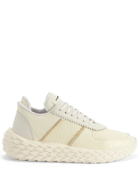 Giuseppe Zanotti tenis Urchin