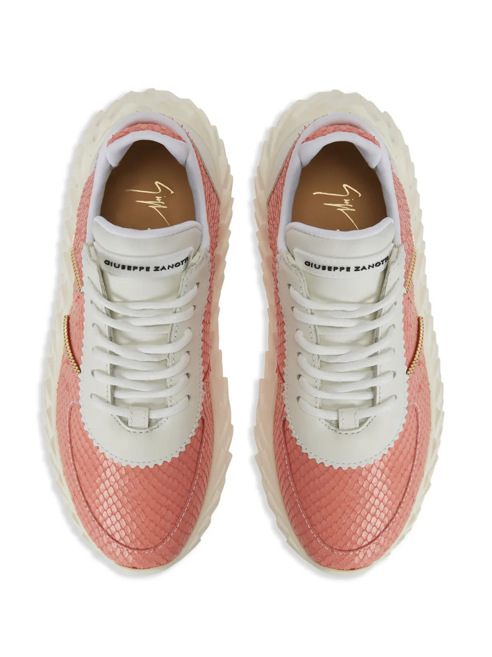 Giuseppe Zanotti Urchin Python-print Sneakers In Orange