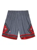 Mitchell & Ness x NBA Chicago Bulls 1995 Swingman shorts - Grey