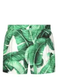 Dolce & Gabbana Banana Leaf-print swim shorts - Green