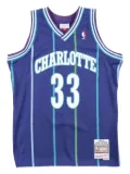 Mitchell & Ness ""NBA Charlotte Hornets 94 Alonzo Mourning"" Swingman Alternate jersey top - Purple
