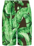 Dolce & Gabbana banana leaf-print Bermuda shorts - Green