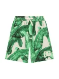 Dolce & Gabbana Kids banana leaf-print cotton shorts - Green