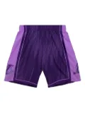 Mitchell & Ness ""NBA LA Lakers 2009"" Monochrome Swingman basketball shorts - Purple