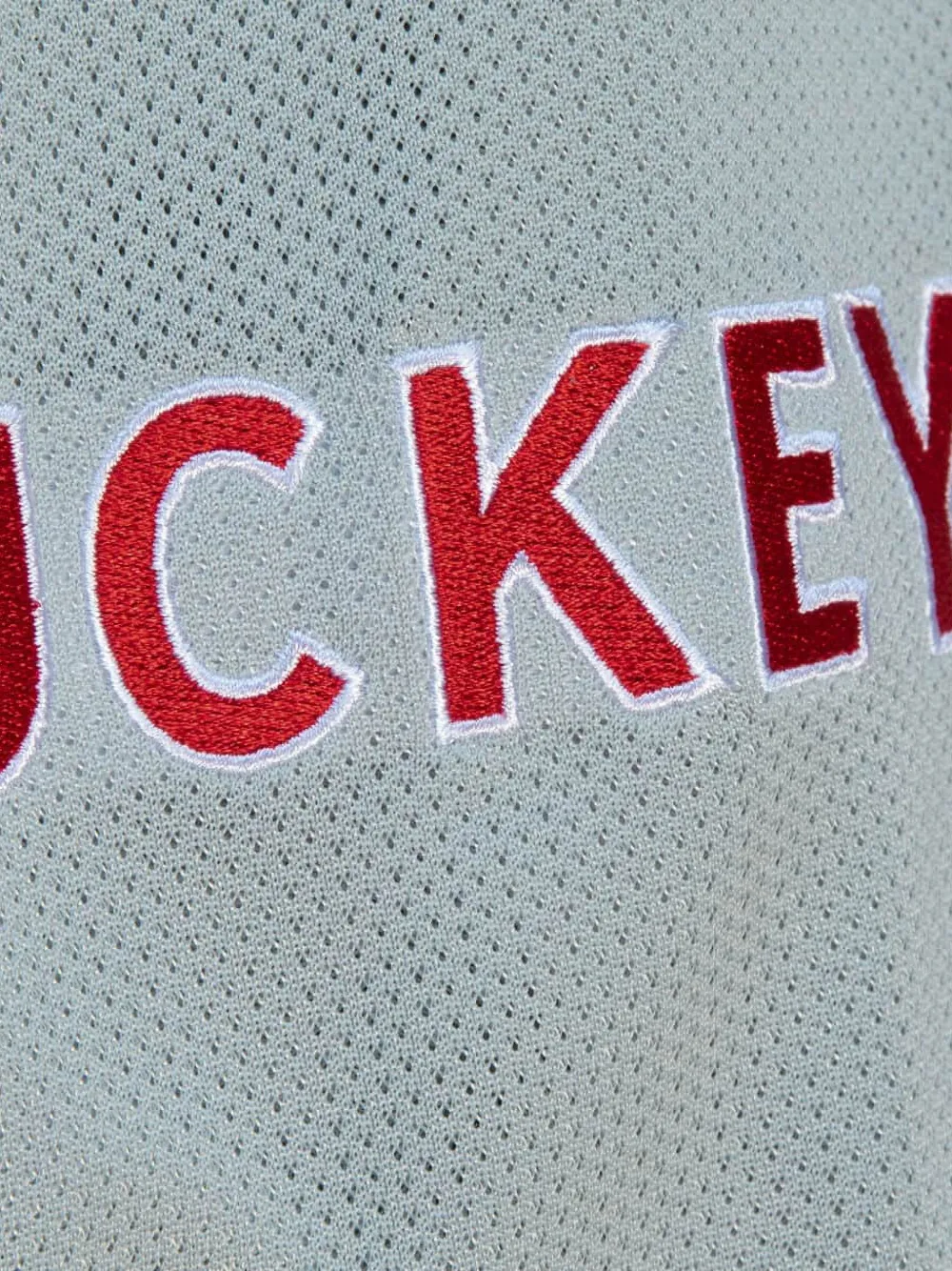 Mitchell & Ness "NCAA Ohio State Buckeyes 1991" shorts Grijs