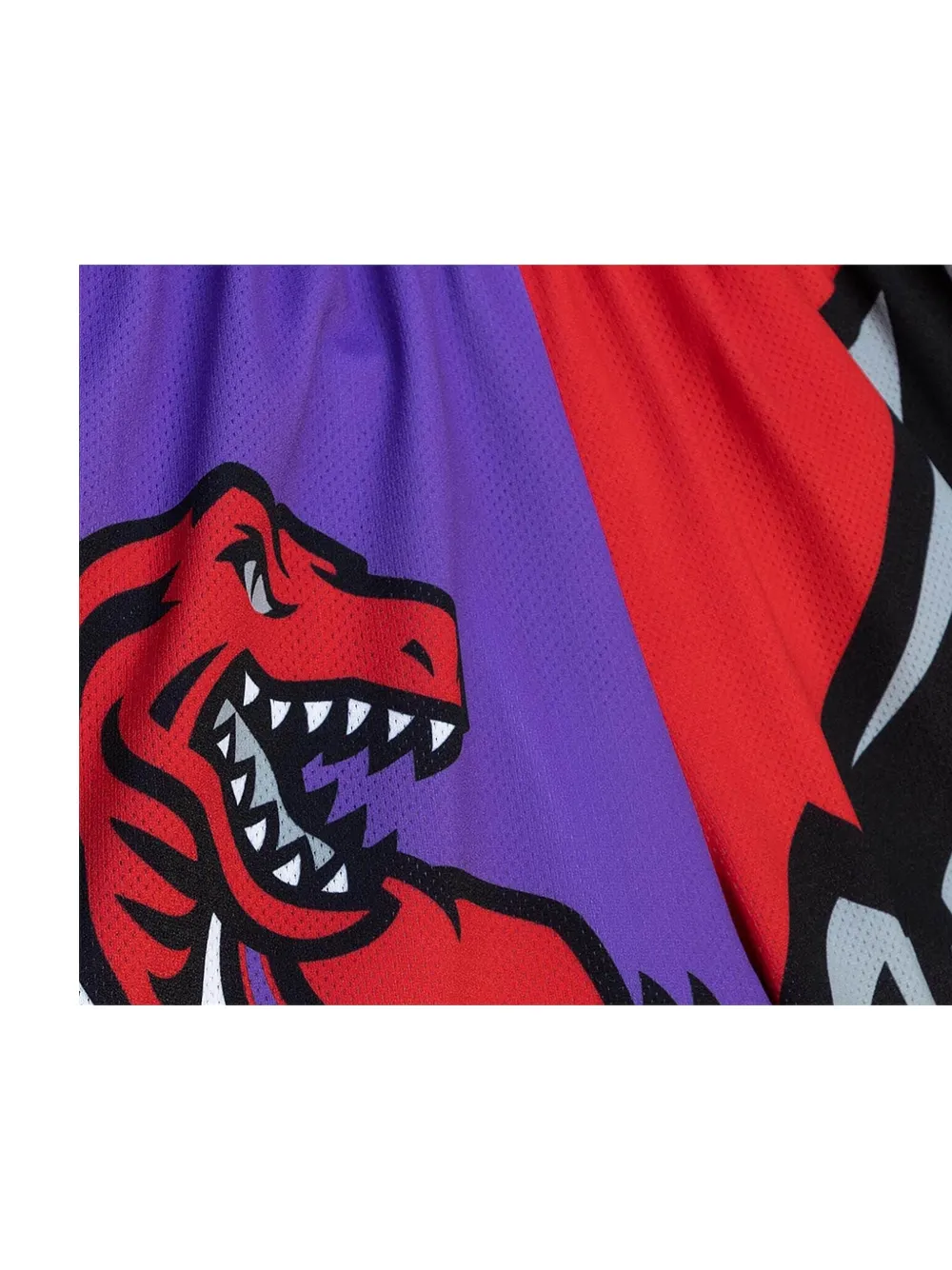 Mitchell & Ness x Toronto Raptors Big Face 5.0 shorts Paars