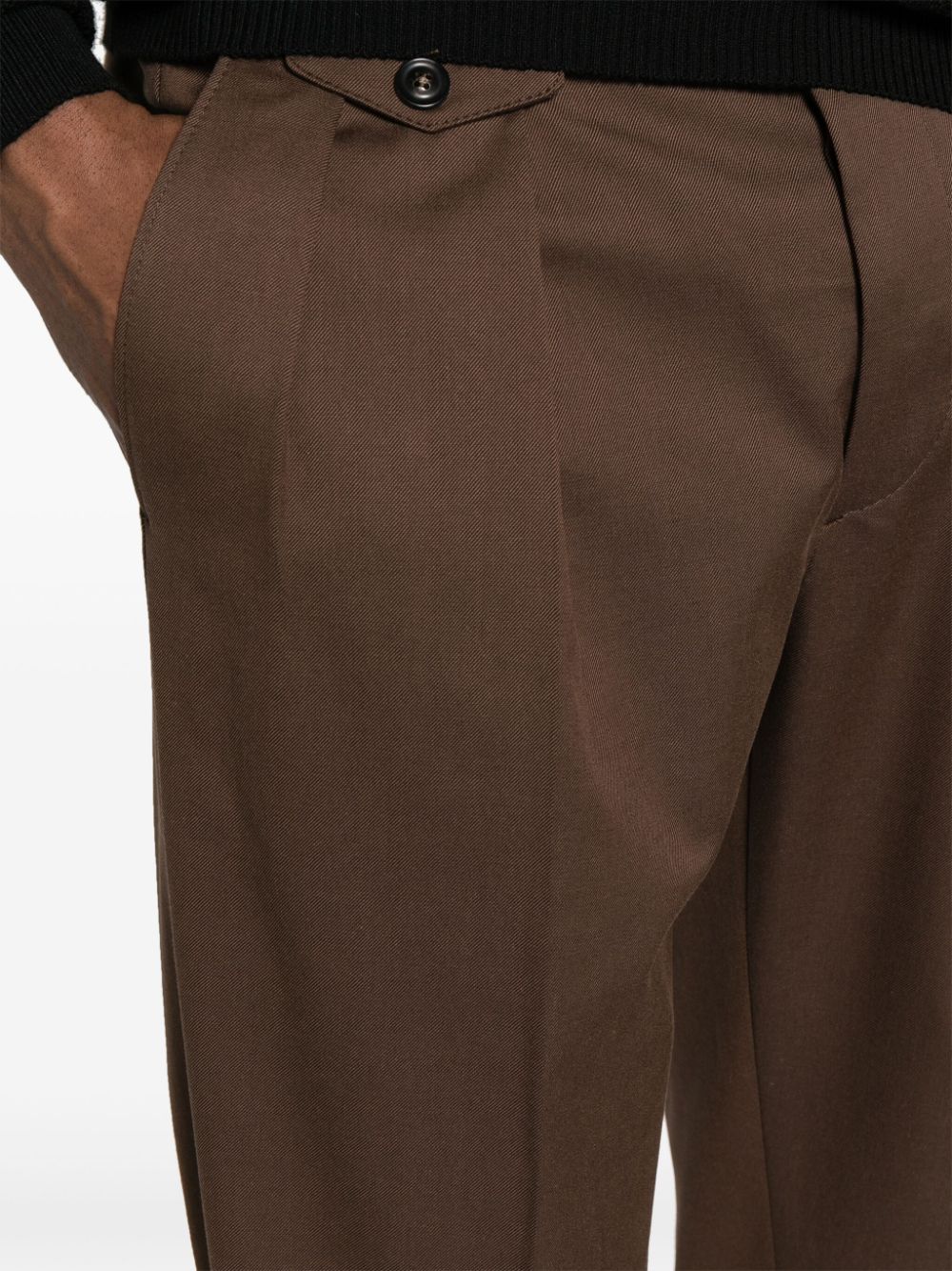 Shop Lardini Pleated Tapered-leg Trousers In Brown
