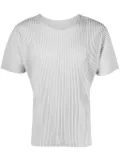 Homme Plissé Issey Miyake Color Pleats pleated T-shirt - Grey