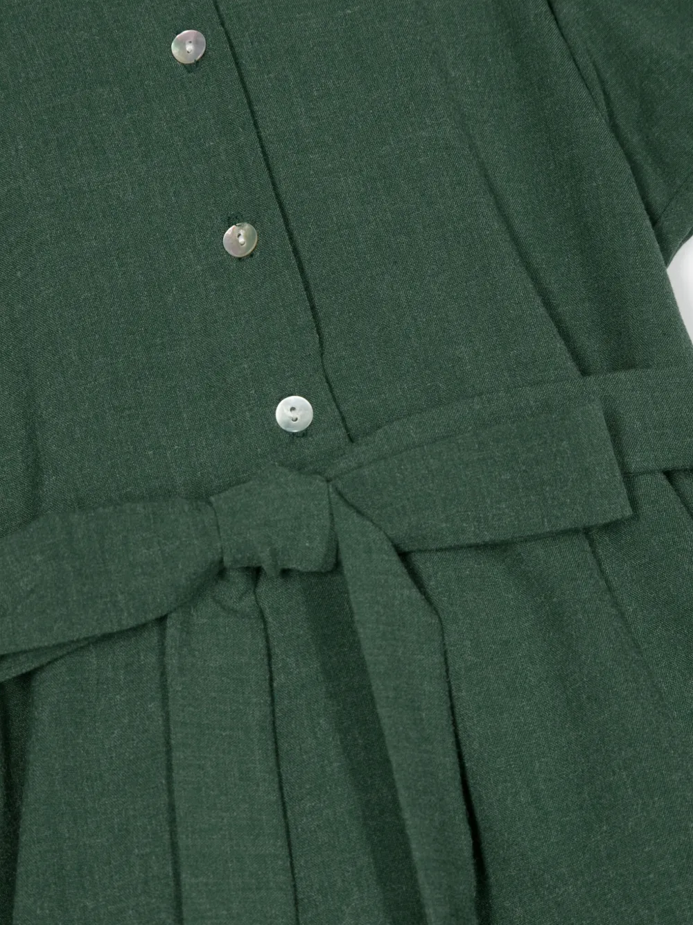 Siola Embroidered Cotton Dress In Green