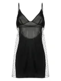 Kiki de Montparnasse Merci tulle-panel silk nightdress - Black