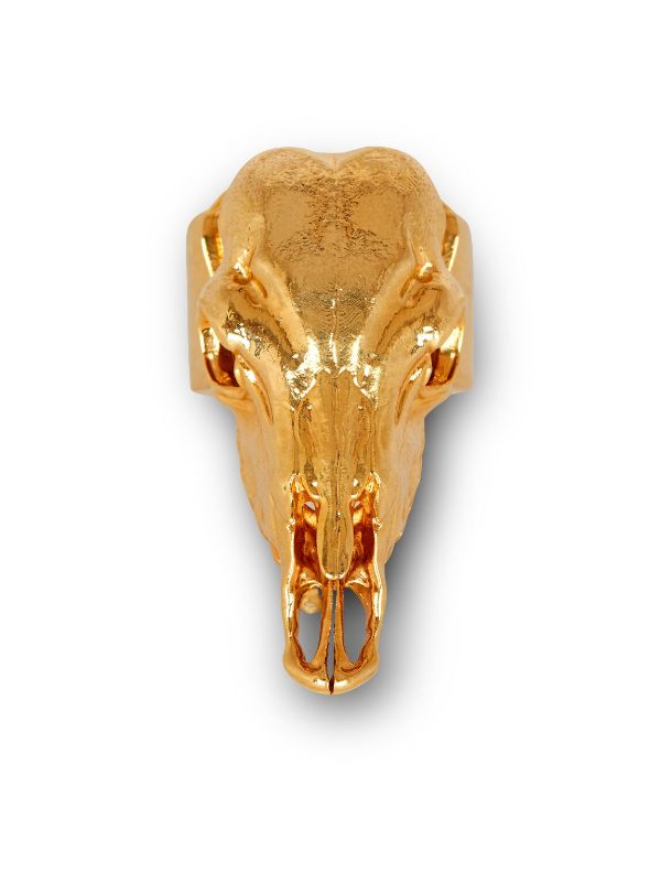 Bull skull store ring