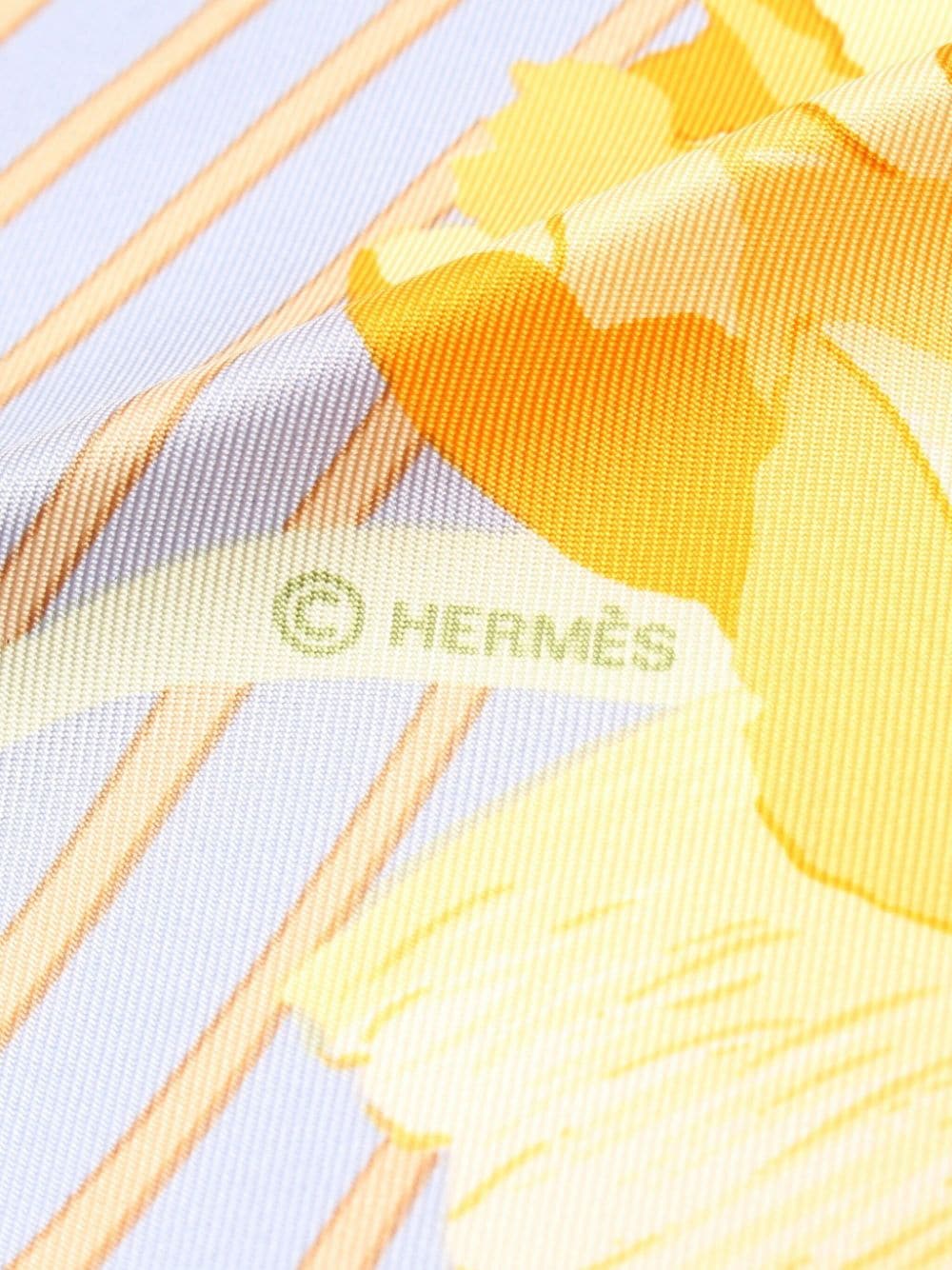 Hermès 2000s pre-owned Les Piviones silk scarf - Blauw