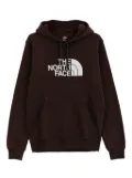 The North Face Drew Peak logo-print hoodie - Brown