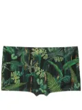 Lygia & Nanny Tijuca leaf-print swimming trunks - Green