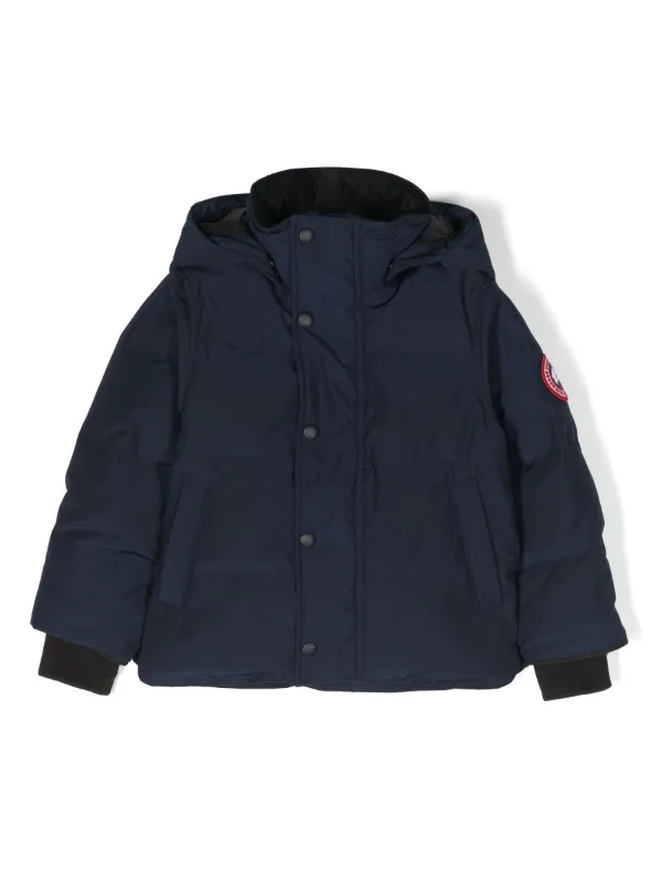 Canada goose hot sale snowy owl