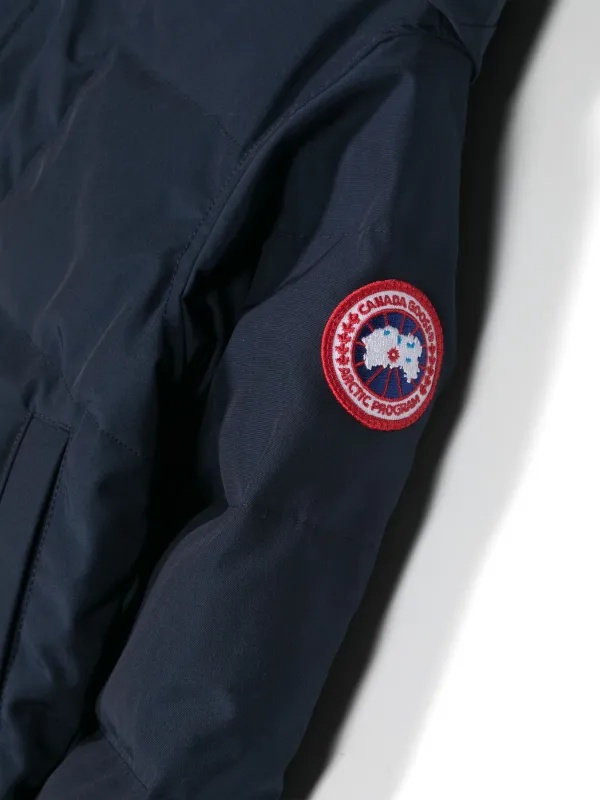 Canada goose snowy owl new arrivals