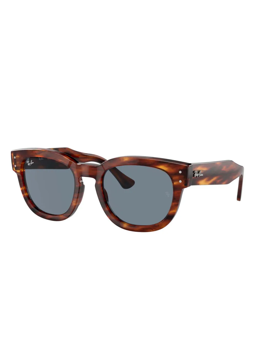 Ray-Ban Zonnebril met rond montuur Bruin