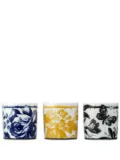 Gucci Herbarium-print porcelain candles (set of three) - Blue