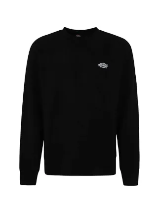 Dickies Construct
