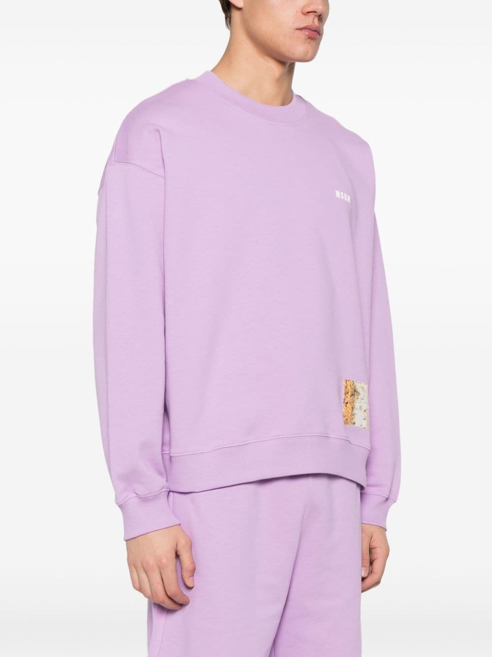 Shop Msgm Graphic-print Organic-cotton Sweatshirt In Purple