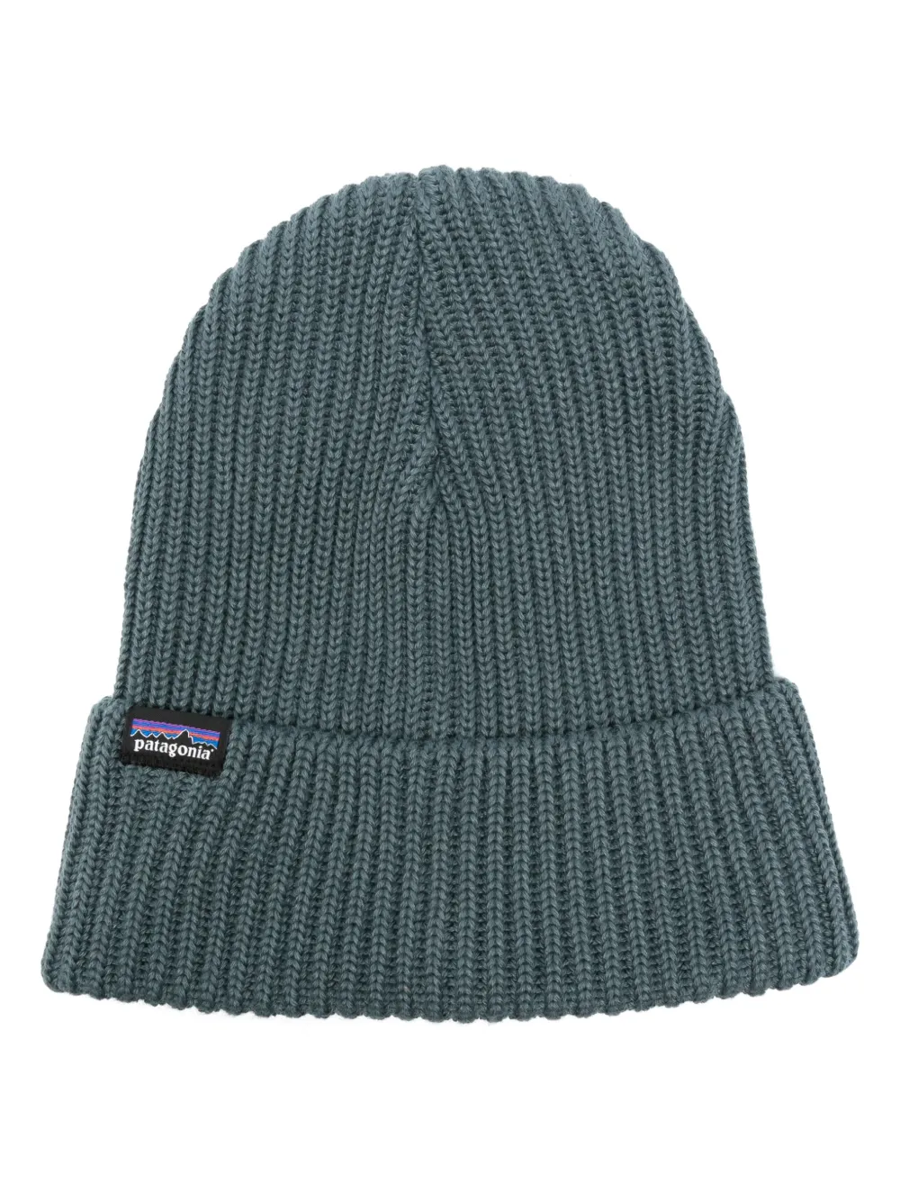 Patagonia Fishermans logo-tag ribbed-knit beanie - Verde