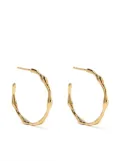 Missoma gold-plated sterling silver medium Molten hoop earrings