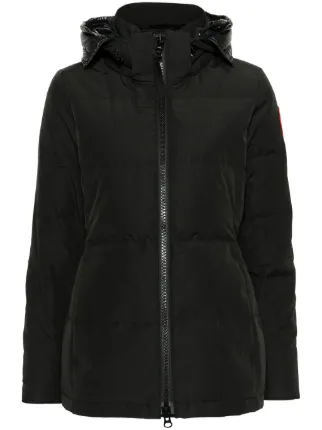 Canada Goose