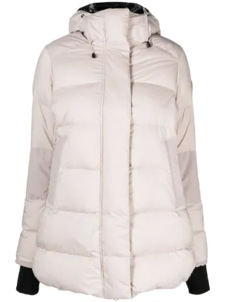 Canada Goose