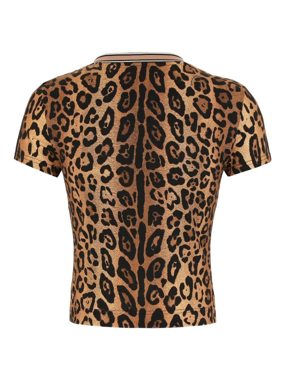 Dolce & Gabbana leopard-print crew-neck T-shirt | T-Shirts & Jersey Shirts | Image 2