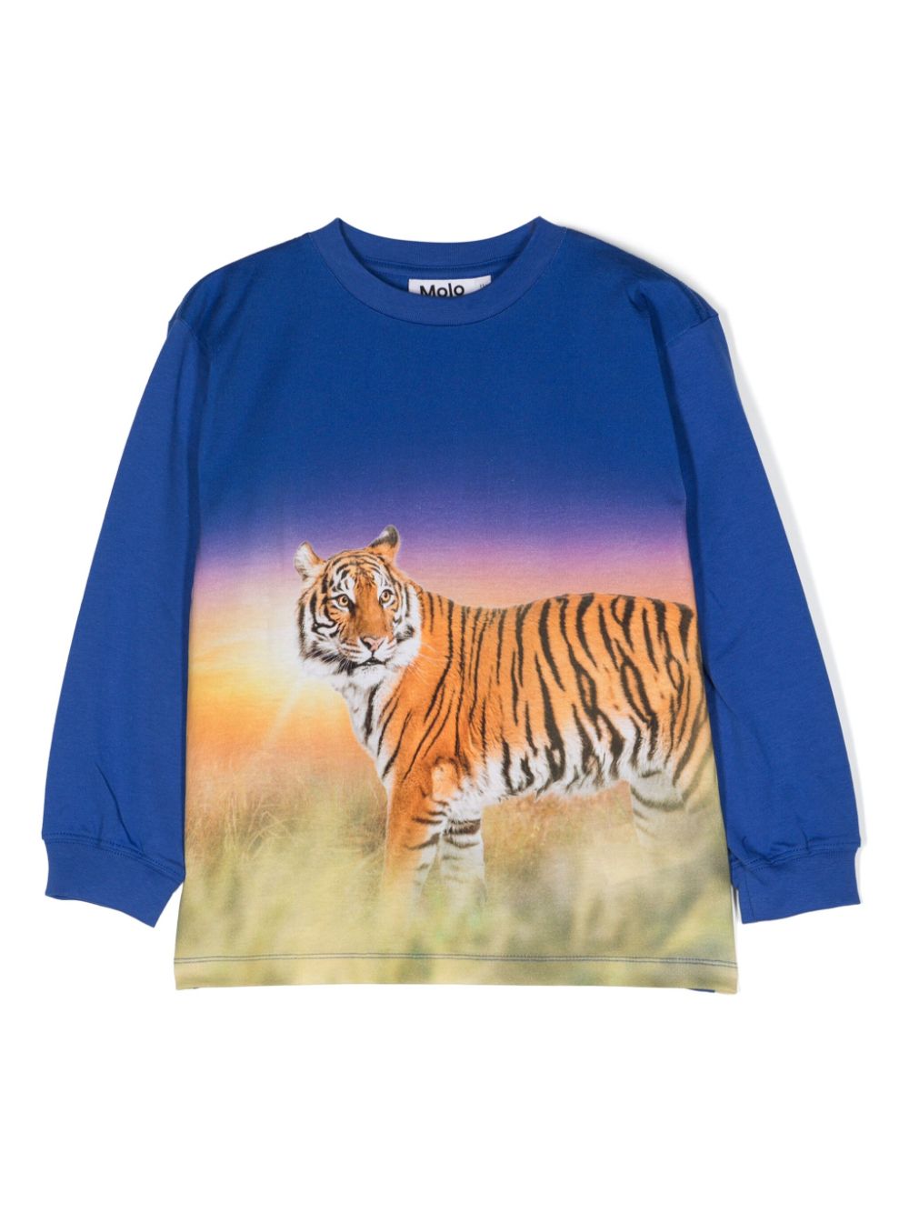 Molo Kids' Rube Tiger Reef-print Cotton T-shirt In Blue