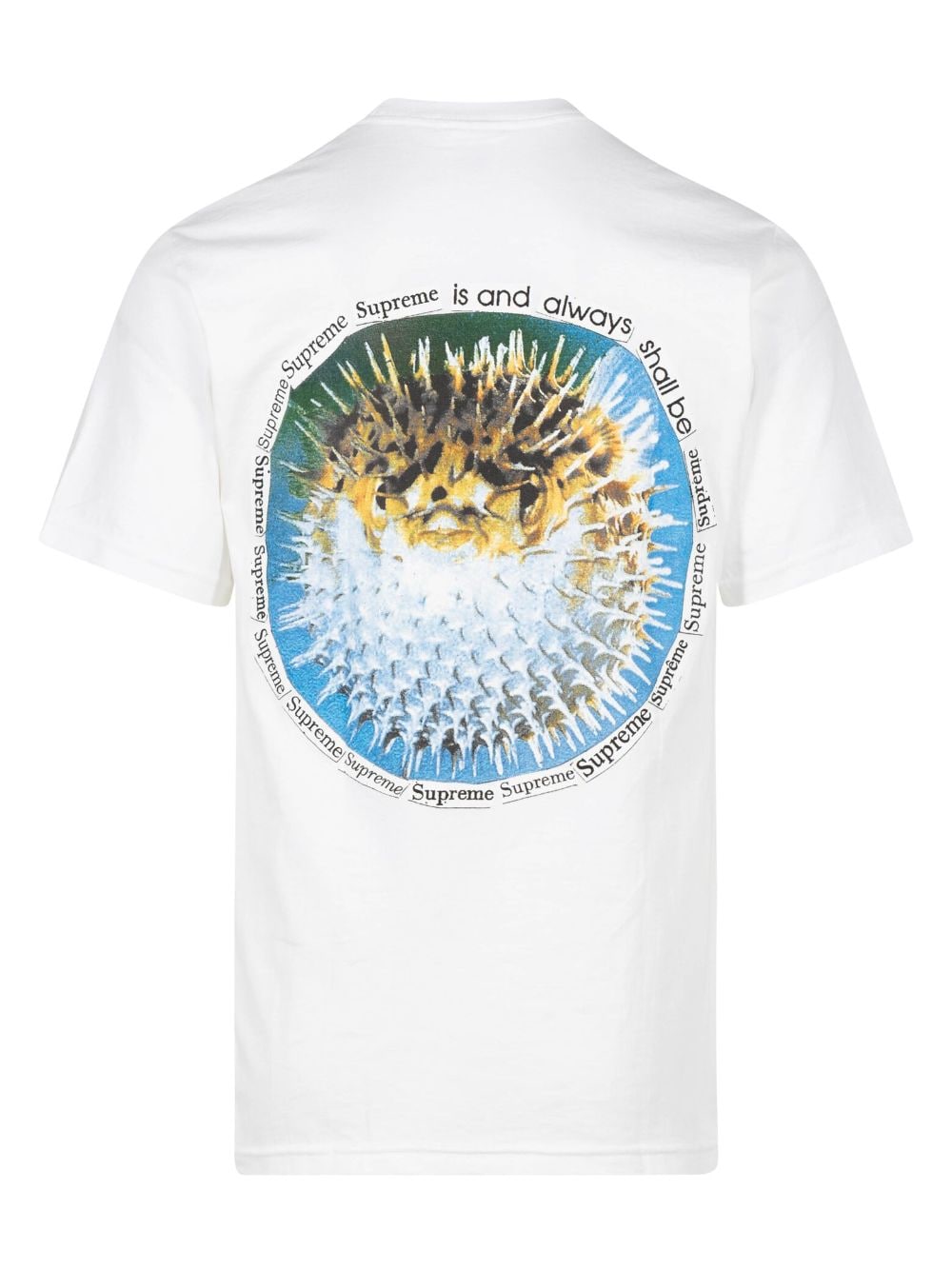 Supreme T-shirt met print Wit