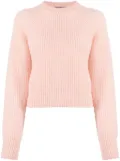 Fabiana Filippi mohair-blend crewneck jumper - Pink