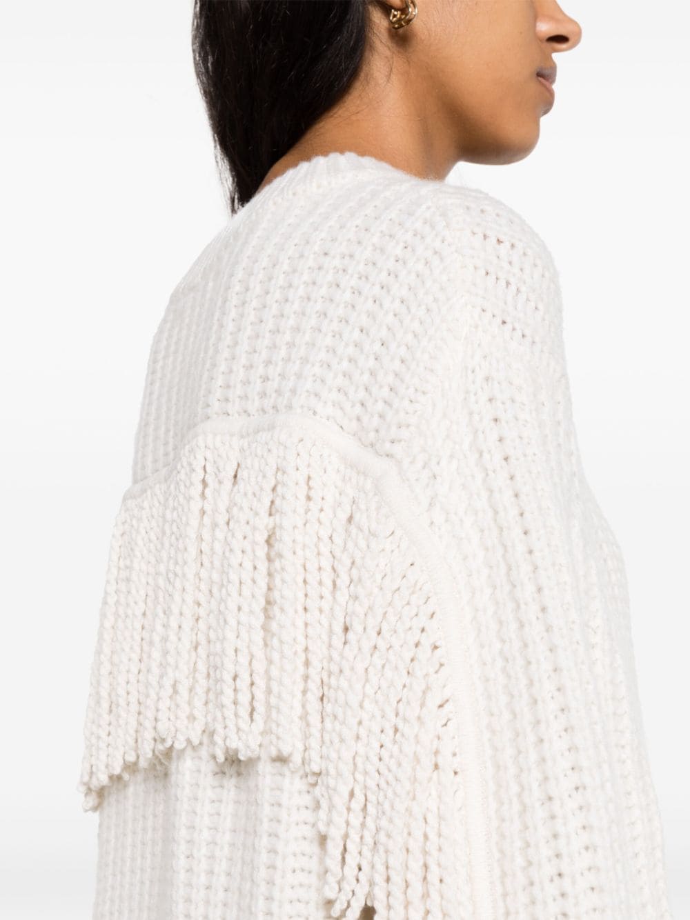 Shop Lisa Yang Hilma Fringed Cashmere Jumper In Neutrals