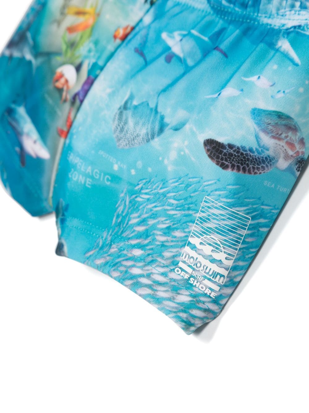 Shop Molo Graphic-print Swim Shorts In Blue