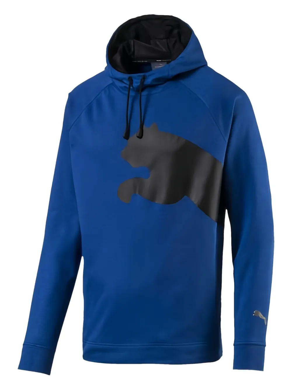 PUMA Stadium Cat Training "Blue" hoodie | Blue | Image 1