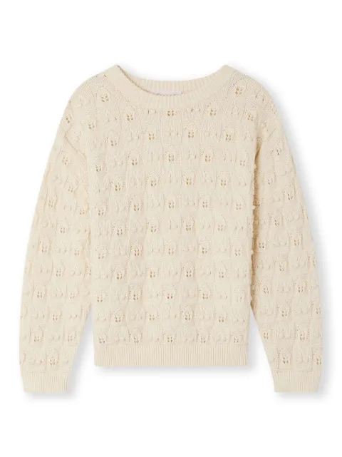 Bonpoint pull Anumati