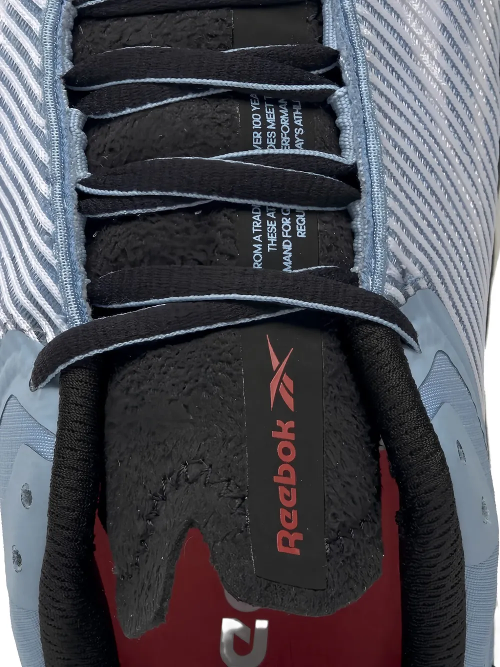 Reebok Floatride Run Panthea Sneakers In Blue
