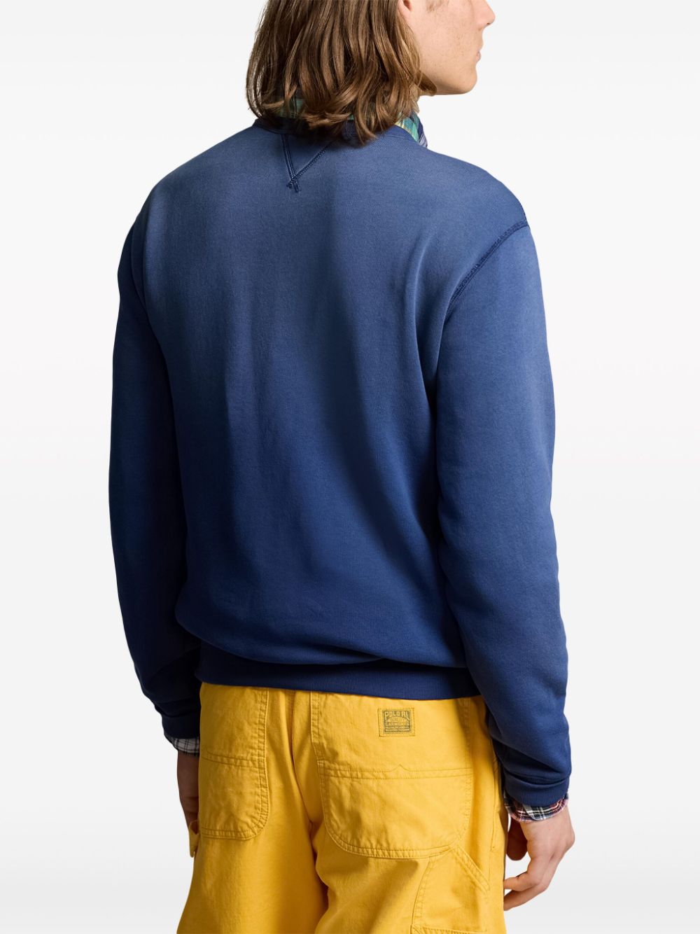 Polo Ralph Lauren Jersey sweater met print Blauw