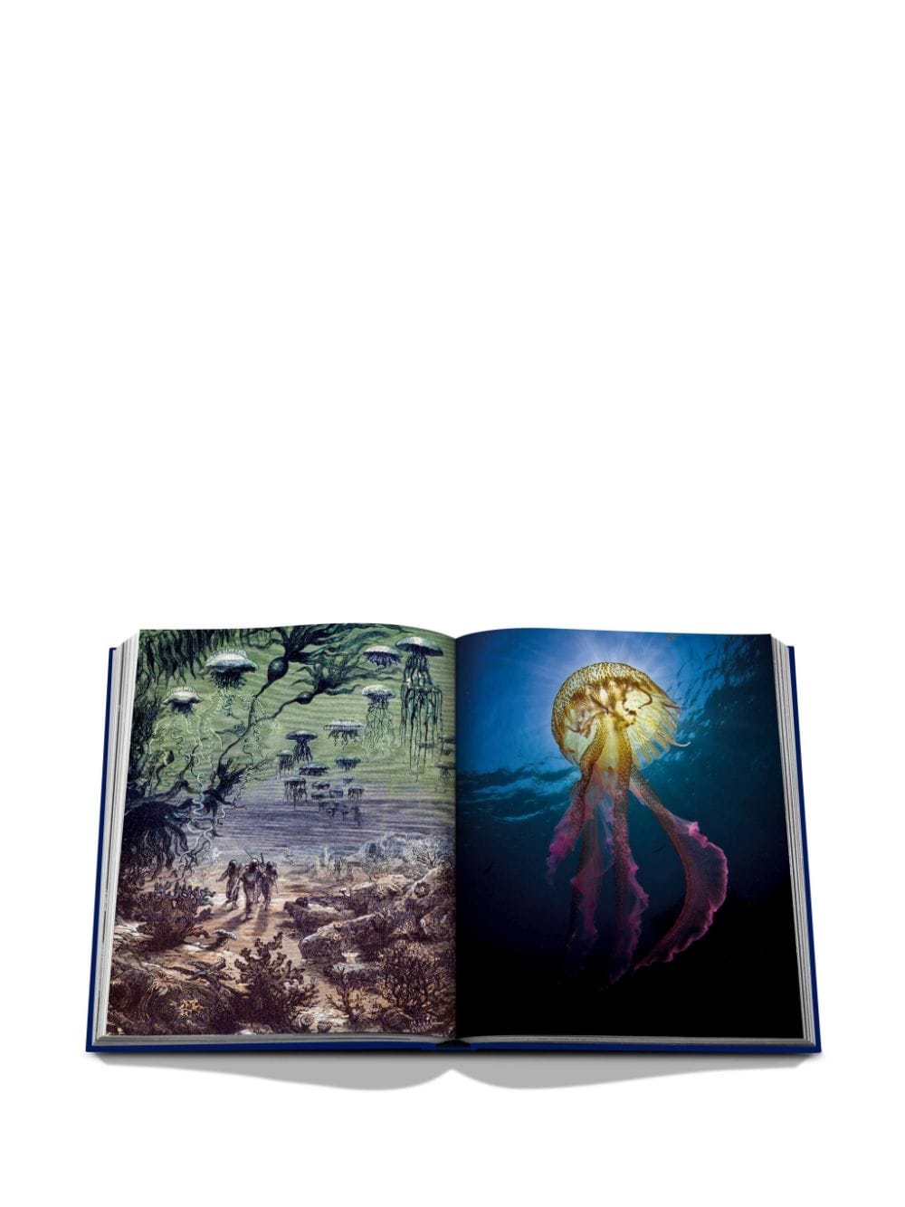 Shop Assouline Ocean Wanderlust By Kevin Koenig Hardcover Book In Blau