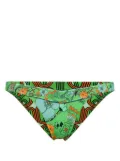 Camilla Good Vibes Generation bikini bottom - Green