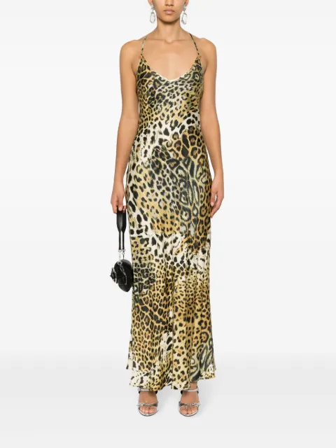 Roberto cavalli shop online deals