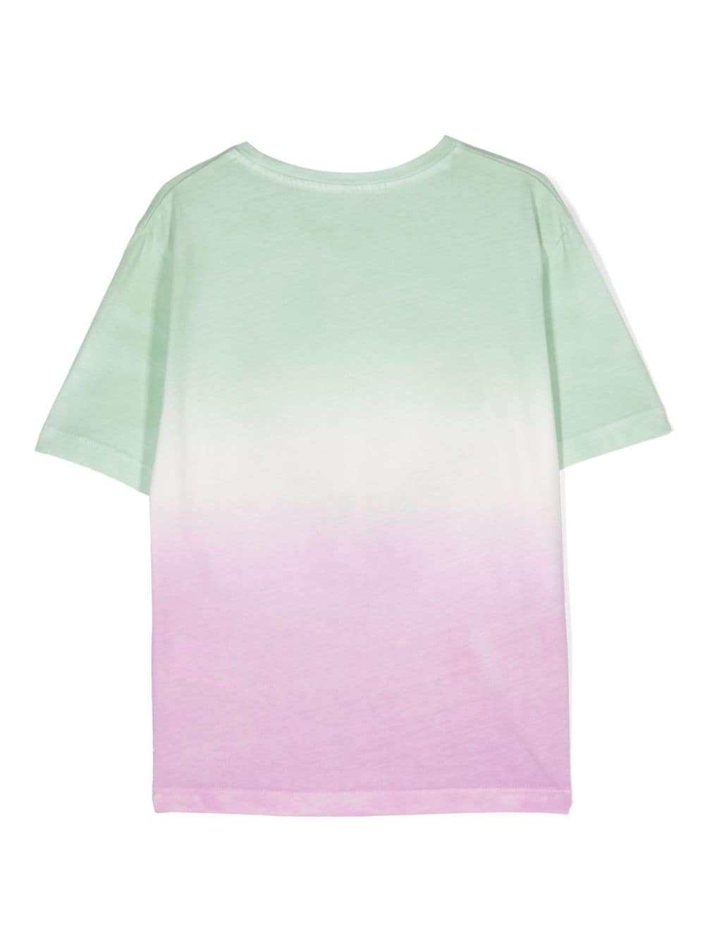 Stella McCartney Kids T-shirt met kleurverloop - Groen