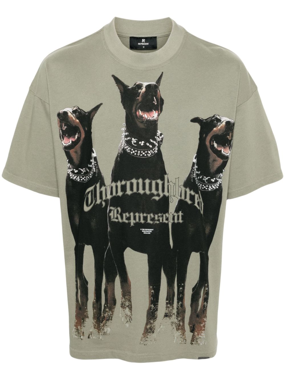 Shop Represent Thoroughbred Cotton T-shirt In 绿色