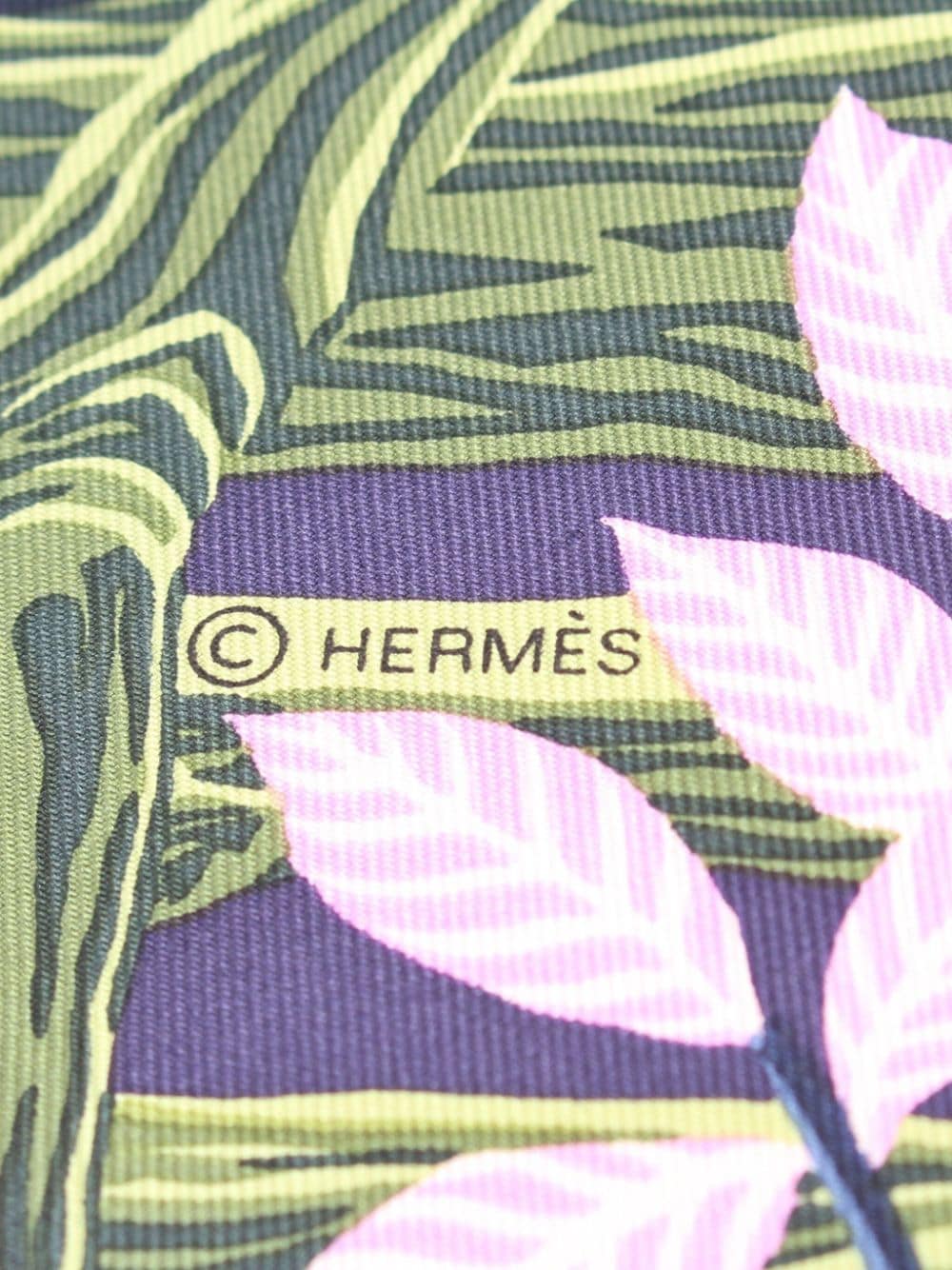 Hermès Pre-Owned 2010-2019 Into The Canadian Wild zijden sjaal - Paars