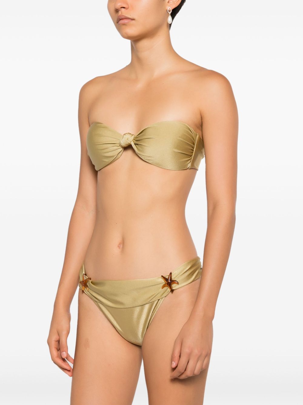 Shop Adriana Degreas Star-appliqué Strapless Swimsuit In Brown
