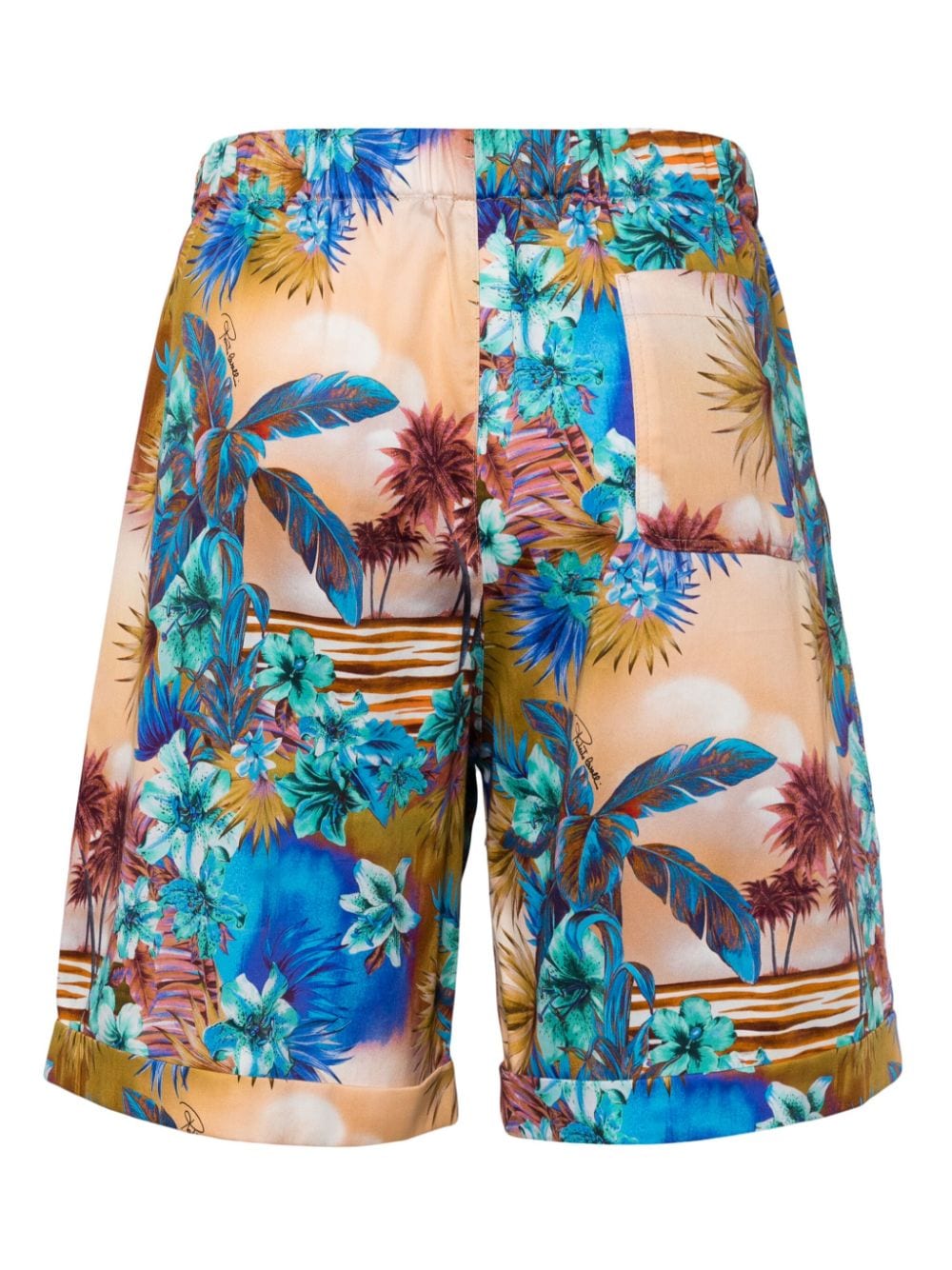 Roberto Cavalli Shorts met print Veelkleurig