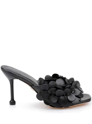 Dee Ocleppo