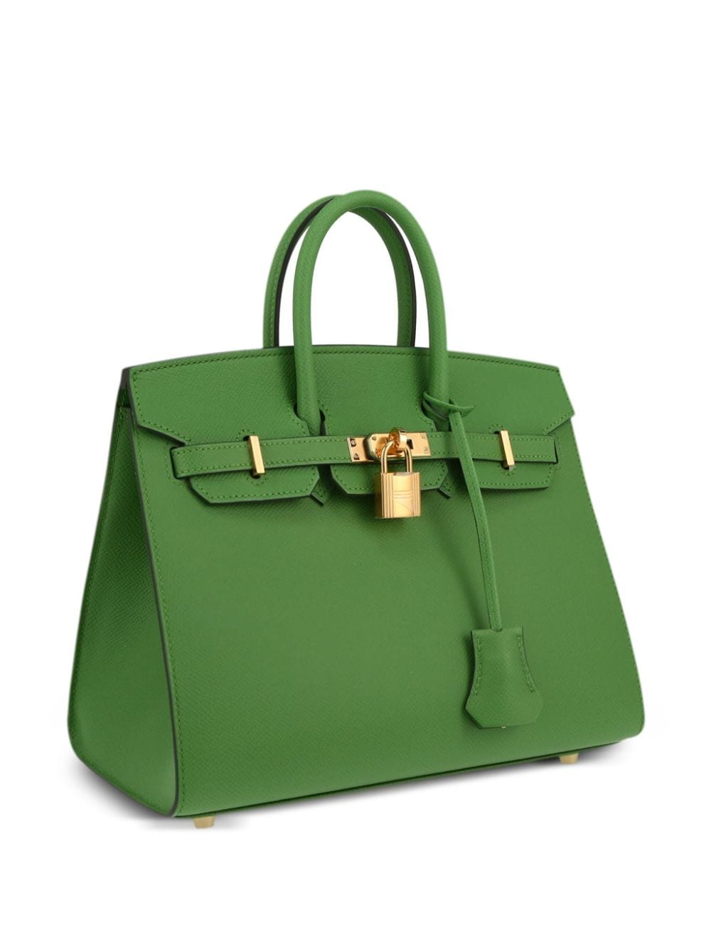 Pre-owned Hermes 2023 Birkin 25 Handbag In Green